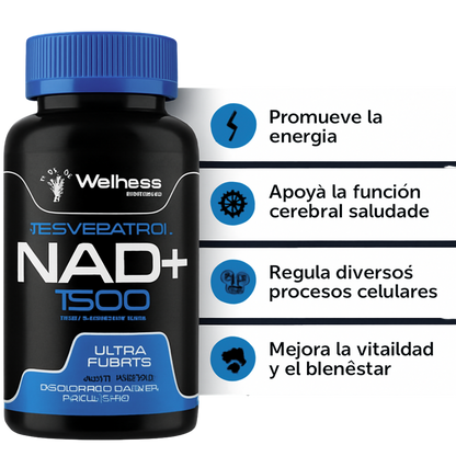 Energía diaria que acompaña tu ritmo